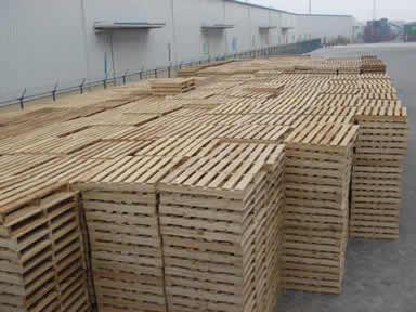 膠合板托盤 膠合板托盤